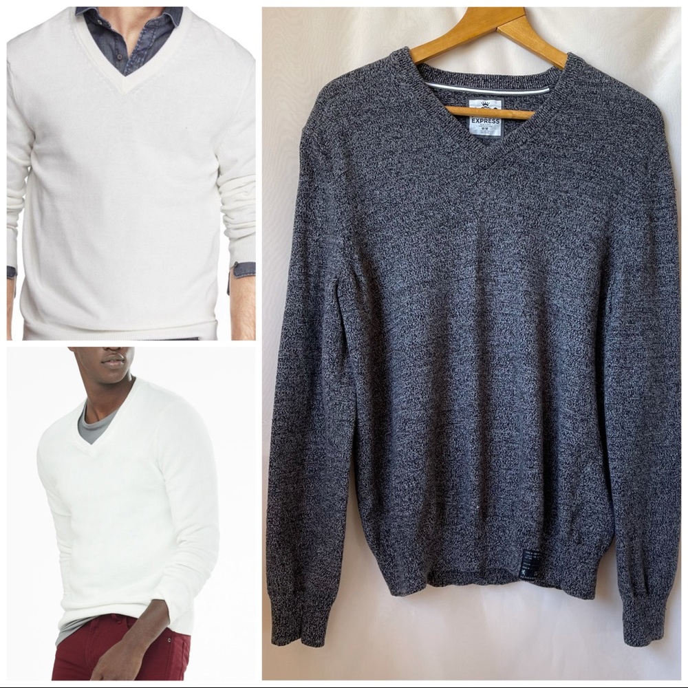 Express V-neck Long sleeves Knit Sweater